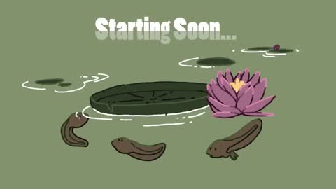 diana online show from 01.18.25