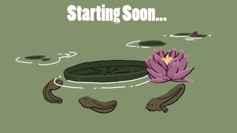 diana online show from 01.30.25