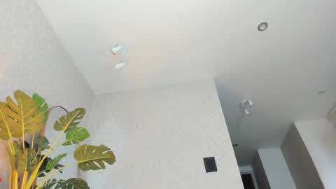 dianac1998 online show from 01.05.26