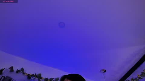 dianekitty online show from 12.23.24