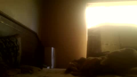 Snapshot of dickdaxxx chatting on 03.02.25 dickdaxxx online show from 03.02.25