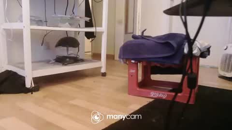 Kevin S. online show from 12.17.25