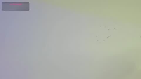 Snapshot of dickgriffith chatting on 10.17.25 Dick Griffith online show from 10.17.25