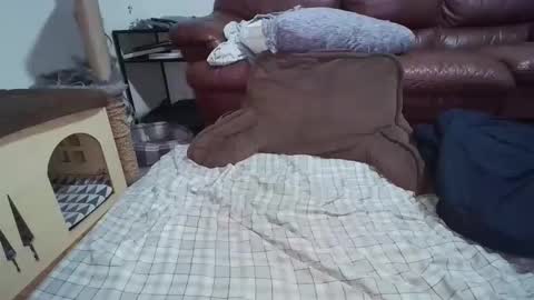 dickslayerdan online show from 11.22.25