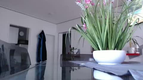 Snapshot of didiegal chatting on 12.07.24 squirtcock online show from 12.07.24