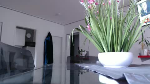 Snapshot of didiegal chatting on 12.09.24 squirtcock online show from 12.09.24