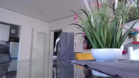 Snapshot of didiegal1 chatting on 01.11.26 squirtcock online show from 01.11.26