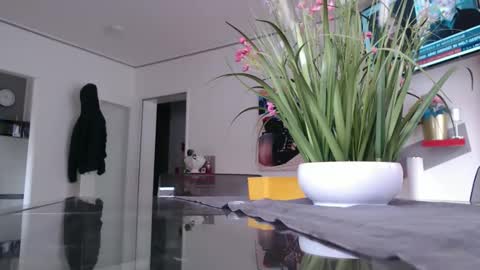 Snapshot of didiegal1 chatting on 02.02.26 squirtcock online show from 02.02.26