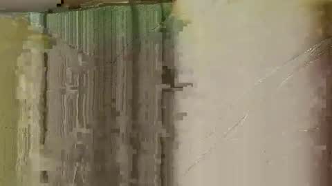 dildobandit online show from 02.03.26