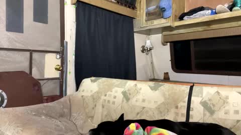 Daddy online show from 05.28.26