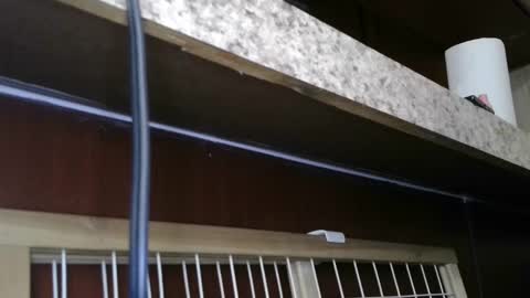 Sofie online show from 02.28.25