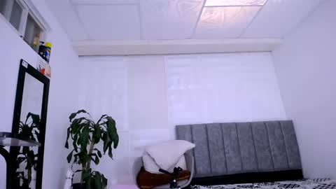 DINA online show from 12.21.24