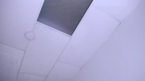 DINA online show from 12.24.24