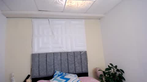 DINA online show from 01.08.26