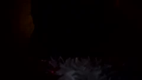 dingler523482 online show from 12.17.25