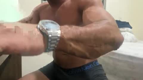 dinhoo14 online show from 11.20.25