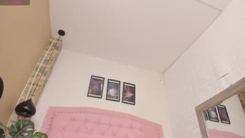 DIOSA online show from 02.18.25