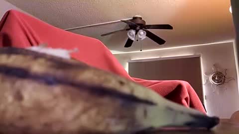 DIPSTIK online show from 10.09.25