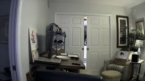 DirtkPitt Fun guy working online show from 01.02.25