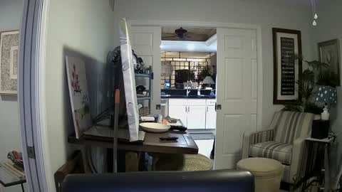 DirtkPitt Fun guy working online show from 01.04.25