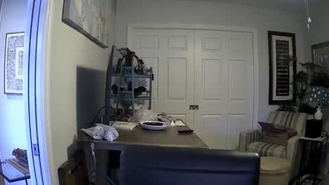 DirtkPitt Fun guy working online show from 01.04.25