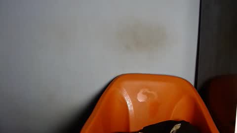 dirtydesirebabe online show from 04.02.26