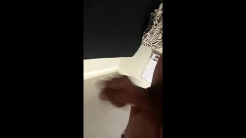 disidente1978 online show from 04.01.26