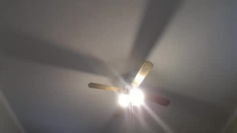 Your Best Worst Nightmare online show from 12.16.24