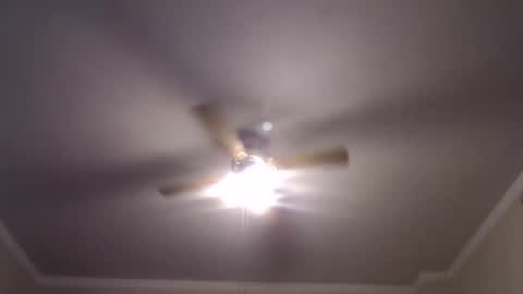 Your Best Worst Nightmare online show from 02.01.25