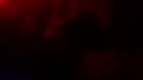 Snapshot of dixienormes chatting on 01.13.26 dixienormes online show from 01.13.26