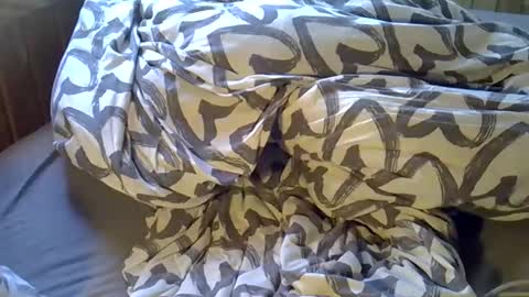 Snapshot of dkdad1966 chatting on 04.06.26 DKdad online show from 04.06.26