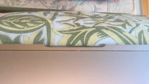 Snapshot of doggy707 chatting on 01.14.26 Theprinceofdarkness online show from 01.14.26