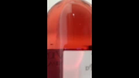 Dolla online show from 04.29.26