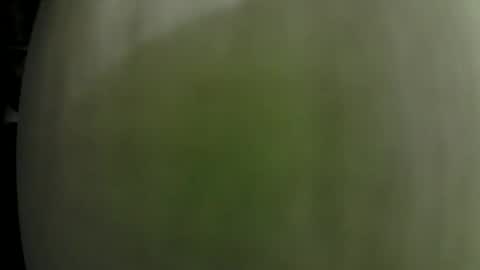 Snapshot of dom_doug chatting on 01.31.25 Dom Doug B. online show from 01.31.25