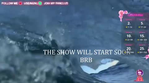 I WILL BE BACK ON WEDNESDAY DECEMBER 4 0100AM COLOMBIA TIME    online show from 03.06.25