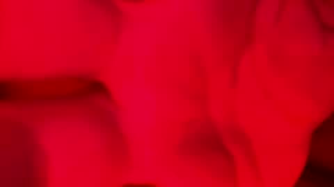 Alzest online show from 11.17.25