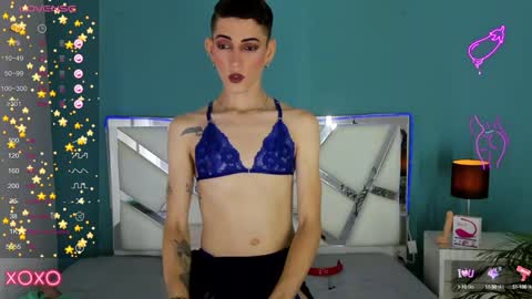 Dominic online show from 12.11.24