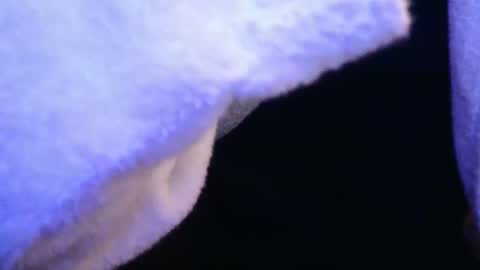 Snapshot of domse999 chatting on 02.17.25 domse999 online show from 02.17.25