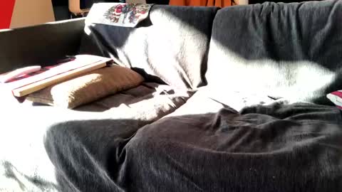 Alfredo online show from 12.16.24