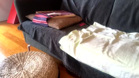 Alfredo online show from 01.15.25