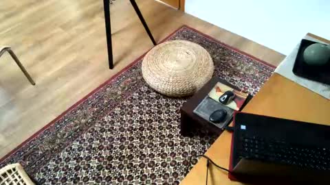 Alfredo online show from 02.02.25