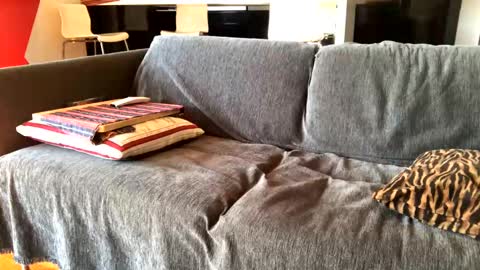 Alfredo online show from 02.04.25