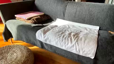 Alfredo online show from 12.03.25