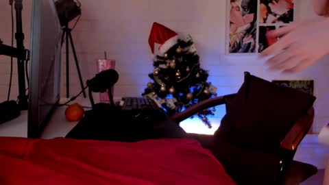 Snapshot of dorothygilbert chatting on 12.14.24 Next stream November 24 online show from 12.14.24