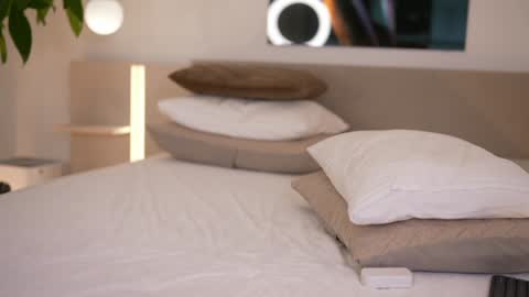    .         . online show from 12.05.25