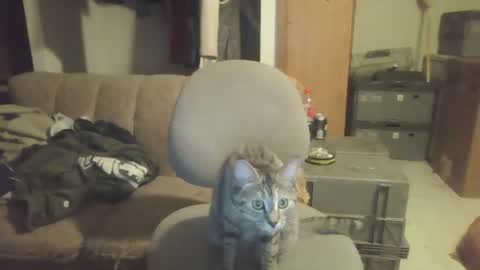 drac2009 online show from 01.28.25