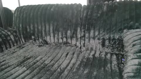 Snapshot of drayanicole1 chatting on 03.09.25 Draya Nicole online show from 03.09.25