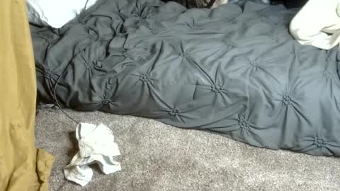 Snapshot of dreadedted chatting on 02.13.26 Dreadedted online show from 02.13.26