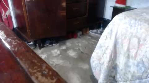 Snapshot of dream_real chatting on 12.28.24 dreamreal online show from 12.28.24