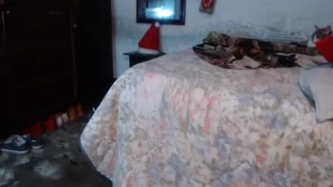 Snapshot of dream_real chatting on 12.29.24 dreamreal online show from 12.29.24